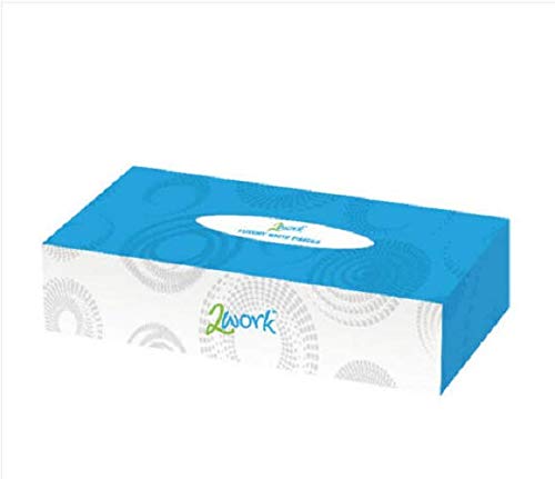 2WORK Facial Tissues Box, 100 Sheets, Pack of 36