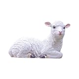 Accent décoratif : ajoute du caractère et de l'élégance aux espaces intérieurs et extérieurs, créant un point focal pour la conversation ou l'atmosphère