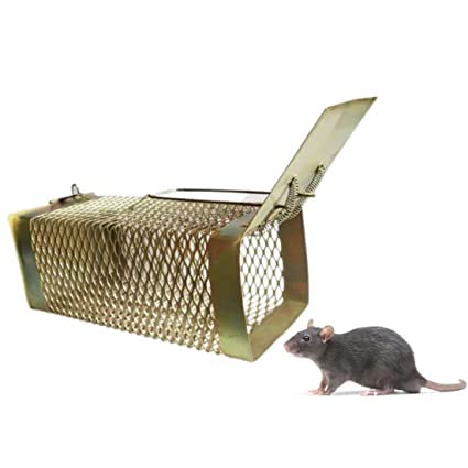 Rat Trap (B0992BN1ZZ) Amazon Price History, Amazon Price Tracker