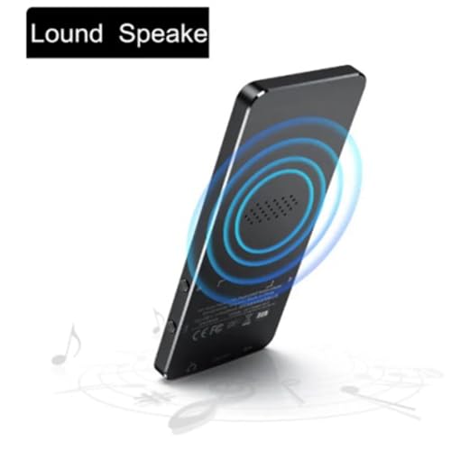 Baladeur Audio HiFi 40 Go Lecteur MP3 Bluetooth Sans Perte Écran X2
