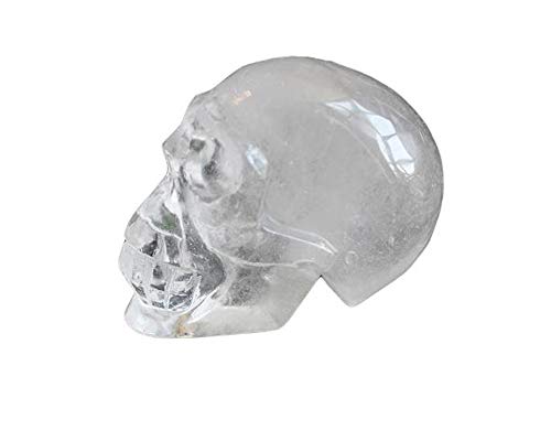 Healing Quartz Clear Quartz Skull Figurine Statue Sulpture Large Carved Natural Gemstone Skull for Home Decoration, Crystal Collecting, Gifts 400-500 Grams (Clear Quartz)