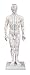 Male Acupuncture Model 20