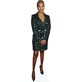 Celebrity-Cutouts ha una vastissima gamma di personaggi famosi per ogni occasione. Le nostre sagome saranno ottime fonti di umore, scherzi, opportunite; fotografiche, o regali perfetti per fan sfegatati.