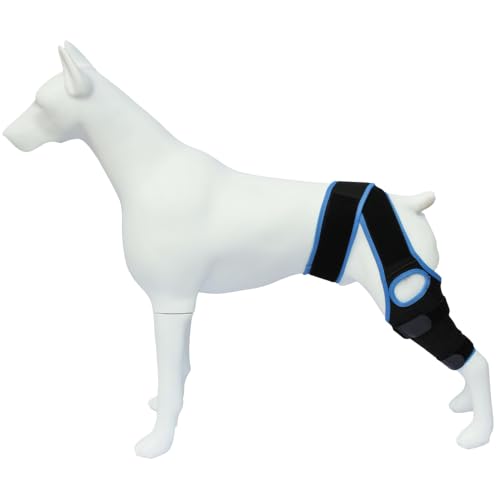 taefyiasz ybgpT|[^[ p nr pi 둫 Gpbh u[X ^ ^ ^  ֐ veN^[ V pi ی ȒPȒE ߉\ rߖh~ (u[,S)