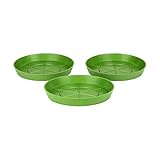 Diseñado con montajes: las crestas en la superficie de estas bandejas para plantas elevan tu maceta ligeramente para una máxima salud de las plantas y para evitar que se pudra la raíz.