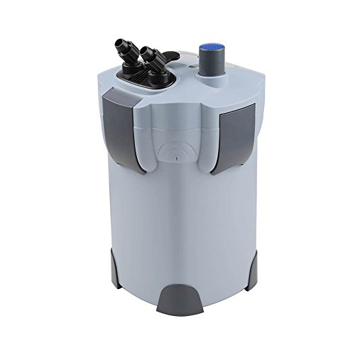 Cheap Canister Filter 4 Budget Filter Reviewed Aqua Movement