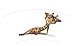 Imagen de Hipster Giraffe con gafas