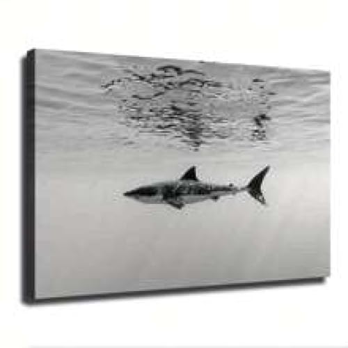 Images sur toile pour affiches murales de requin afin de moderniser un salon vide