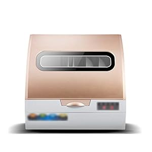 Draagbare Vaatwasser, Mini-Bijlage Vaatwasser Voor Appartementenhuis Keukenplaats Instellen Capaciteit,Gold