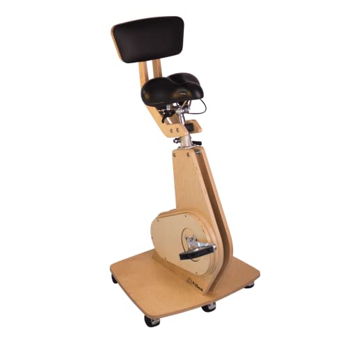 FitSeat Nr.1 Professional Deskbike (PureNature)
