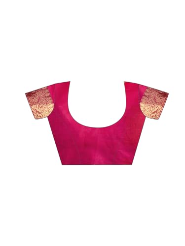 Image of Satrani Women's Organza Sequins Embroidery Jacquard Saree with Unstitched Blouse Piece
