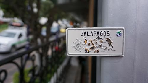 Mapa magnético mini Islas Galápagos decorativo miniatura 2