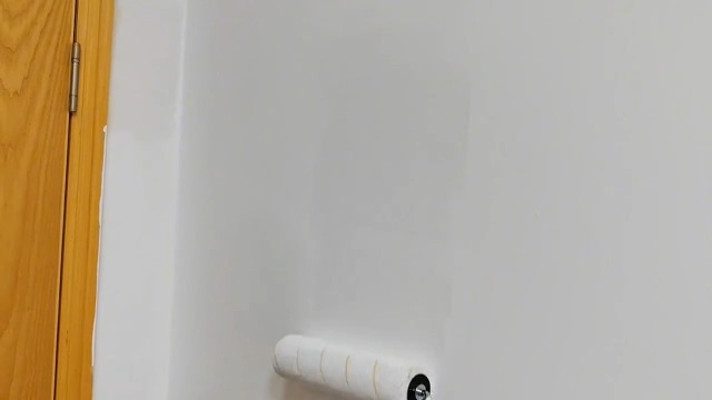 VOOMEY 17 Piece Paint Roller Kit - Paint Rollers 9"4", Paint Roller Frame，Paint Trays, Microfiber Roller Cover, Paint Kit for House Painting,Paint Brushes for Painting Walls