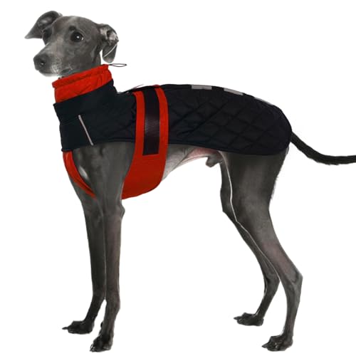 IECOii Greyhound Coat,Italian Greyhound Waterproof Dog Winter Coat,Small Dog Fleece Jumper Whippet Snow Jacket with Harness Hole,Reflective Lurchers Salukis Snowsuit for Cold Weather Clothes,Red-S