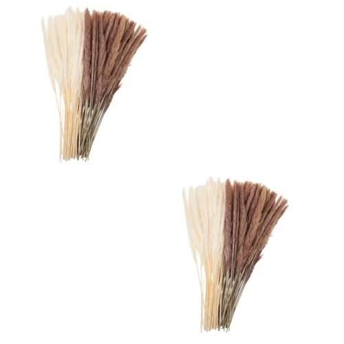 HOMSFOU 180 Peças Buquê De Grama De Pampas Grama De Junco Natureza Buquês De Trigo Seco Branco E Nat