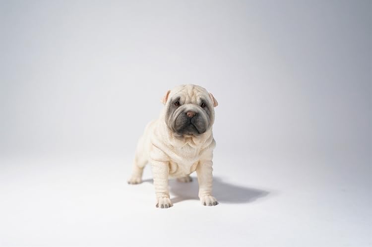 1:6 Sharpei Dog Model Cute Animal Figure Collector GK Decor Gift for Adult (JXK101A)