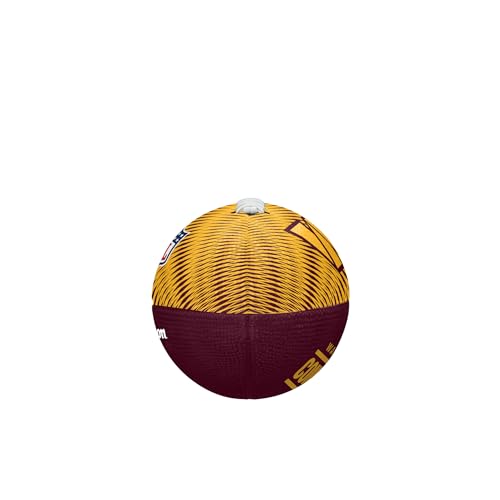Image of WILSON Unisex NFL Team Tailgate Footballs