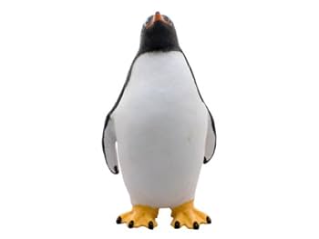 ジェンツー　ペンギン　剥製 Yahoo!オークション - 超希少 ペンギン 剥製 ジェンツーペンギン