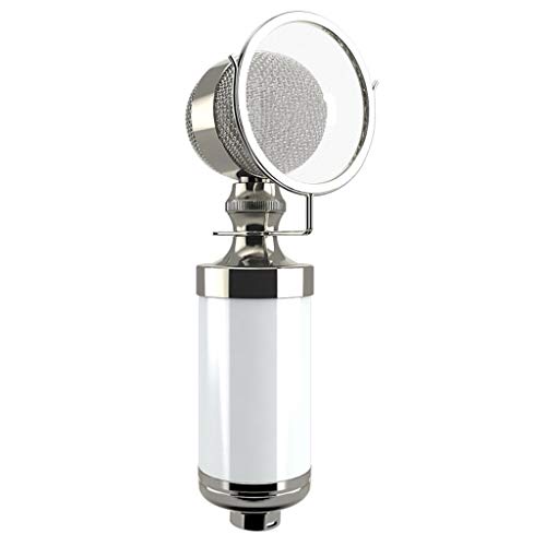 Kleine Flasche Kondensator-Mikrofon Netzwerk Recording Karaoke Computer-Rufen Weizen Live-Broadcast Equipment (Color : White)