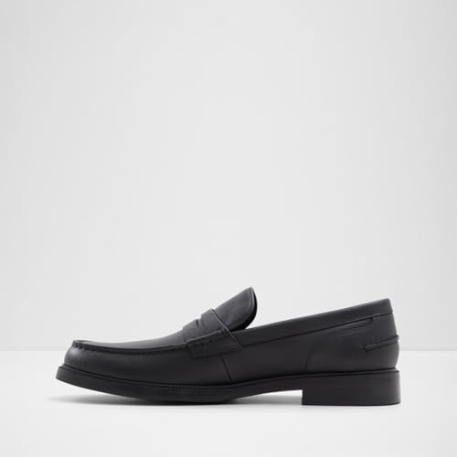 ALDO Men's Kieran Loafer3