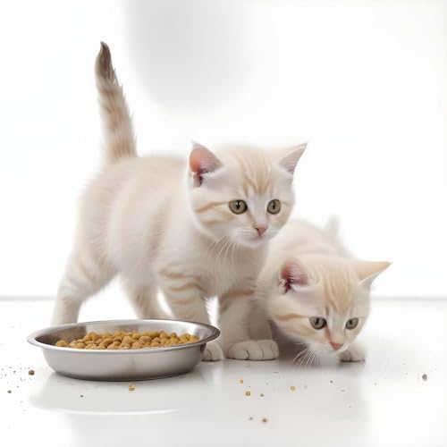 5 Stück Katzennäpfe Edelstahl, 15 cm Futternapf Katze für Katzen mit Breiten Schnurrhaaren Surefeed Futterschale Trinknapf Katze Napf Katze-Fressnapf Hundenapf Kleine Hunde, für Katzen Kleine Hunde