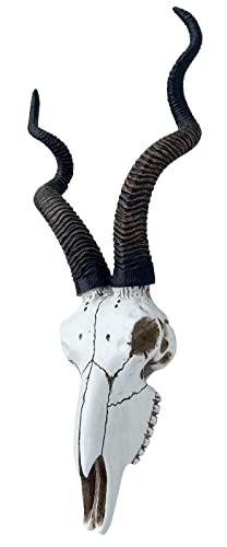Calavera de Antílope Kudu Africano 14.5 pulg Top Brass miniatura 5