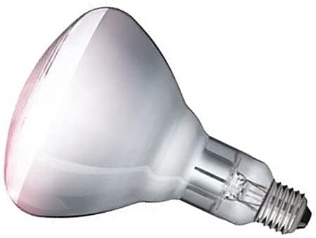 Infra-red Heat Bulbs 150w 170w 250w Clear Ruby Catering Lamps (250w, Clear)