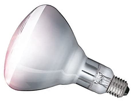 Uci Clear Infra-Red Heat Bulbs 150W 170W 250W Ruby Catering Lamps (250W, )