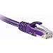 Enet Cat6 Purple 1 Foot Patch Cable with Snagless Molded Boot (Utp)