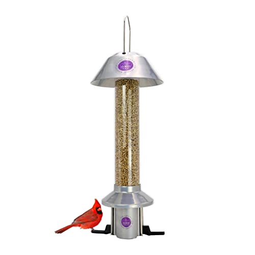 The Ingenious World of SquirrelProof Bird Feeders The History and