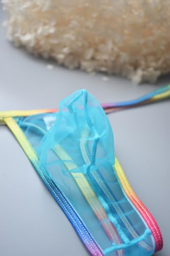 Sexy Men's Thong Underwear Mesh See Through Underpants Low Waist U-Shaped Pouch Fun Underwear2