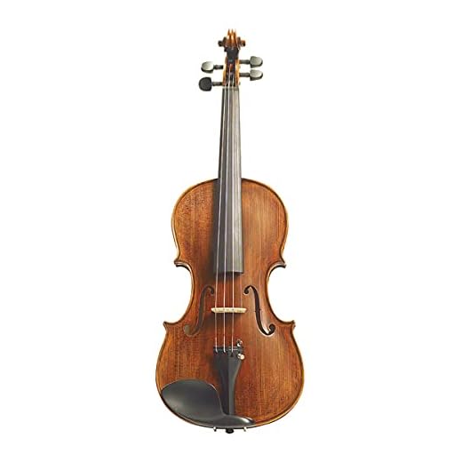 Stentor 1880OFTA Stentor Arcadia Violin Outfit. 4/4