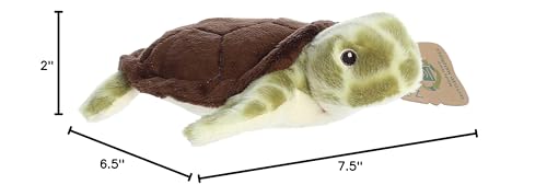 Aurora(r) Responsibly Made Eco Nation(tm) Eco Softies(tm) Sea Turtle Stuffed Animal - Ideal for Playtime Adventures - Perfect for Birthdays or Just Because - Green 8 Inches - Image 7