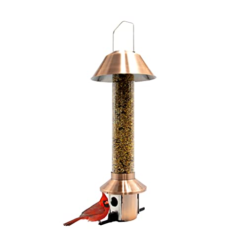 Roamwild 2.0 Squirrel Proof Wild Bird Feeder Mixed Seed Sunflower Heart Version cover