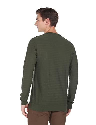 Image of Arrow Mens Cotton Round Neck Striped Regular Fit Sweater