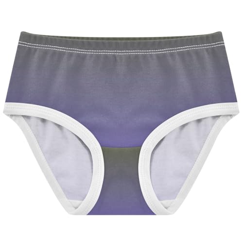 Joisal Toddler Girls Underwear 2t Cotton Panties for Girl Designer Briefs Kids Undies Purple Slate Blue Gradient