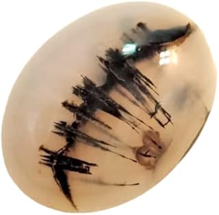 احجار كريمة من العقيق الشجري النادر