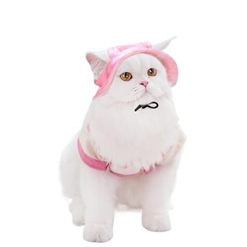 ėppXq t ^ ^ Lp ^C_C Ă~ 싅X AEghA ߉\ ybgp(Red,S (for pet 1-3.5kg))