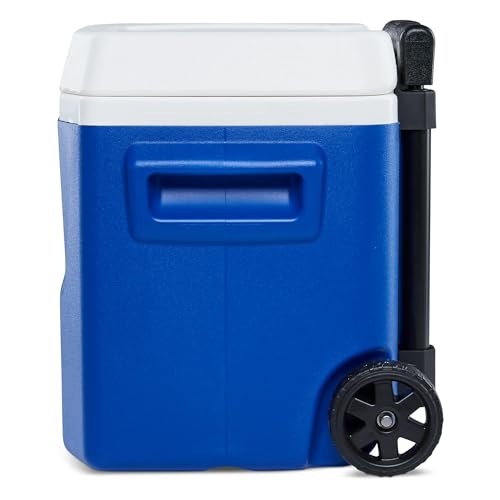 Image of Igloos Cooler Hard-Sided Ice Chest, Insulated Portable Cooler, Heavy-Duty, Leak-Resistant Lid, Lightweight Ergonomic Handle