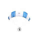 128CM Wingspan Remote Control Paraglider for Adults, 2.4G Electric Aerobatic GTS Mini RC Paraglider Model High-Altitude Stunt Flight Paraglider, Birthday Gift-RTF