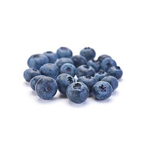 Ashoka Dry Fruits Blue Berries--250Gm (B07P74Q4XL) Amazon Price History, Amazon Price Tracker