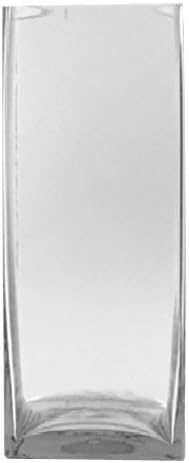 WGV Clear Large Square Block Glass Vase, 6 by 12-Inch