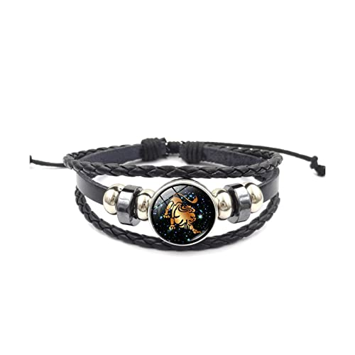XIANNVQB 12 Constellation Leo Luminous Weave Leder Armband Charm Snap Knopf Glas Dome Zeit Edelstein Armbänder Armreif Geburtstag Geschenk, Löwe, Armband Cover