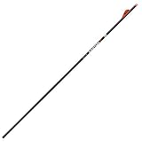 Easton 6.5 Hunter Classic Arrows 300 2 in. Bully Vanes 6 pk.