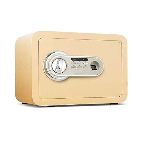 Coffre-fort anti-vol RLKHXBS pour protéger votre argent avec cette boîte double couche 35cm