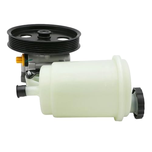 55398903AD 55398903AE pompa servosterzo con puleggia e serbatoio per 09-10 Compatibile per Dodge 1500