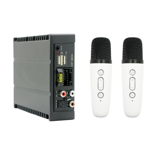 Amplificatore di Potenza con Regolazione 4x80 per Autoradio Lettore Video Multimediale Supporto Fibra