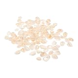 [HAPINARY] 120個天然シェル 耐久性のある貝殻 パーツ シンプル 再利用可能 実用的 シェルアクセサリー ビーチ デコレーション 手芸材料 キャンドルやリース作りに 靴や帽子の装飾にも