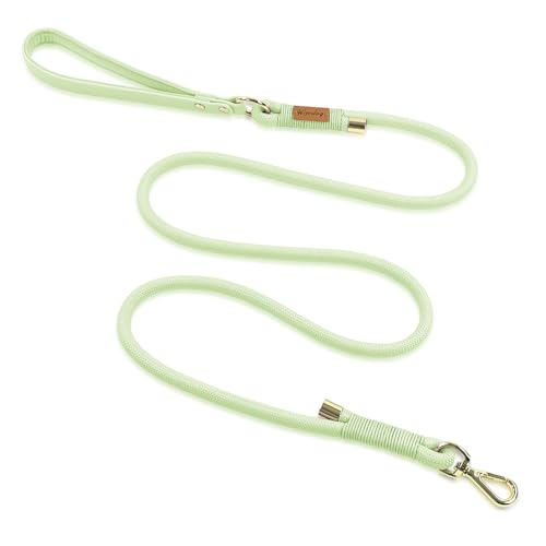 Wisedog Hundeleine aus Polyester-Seil, strapazierfähig, mit weichem, bequemem, gepolstertem Griff, langlebig, stilvoll, geflochtene Haustierleine für kleine, mittelgroße und große Hunde, Salbeigrün,