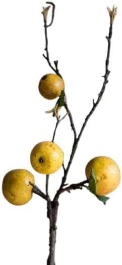 Rustic Reach Lifelike Artificial Apples Fake Plant | Decorative Apples Fake Tree for Vase | Festival Party Office Home Decor - 27" Tall (1 Stem)